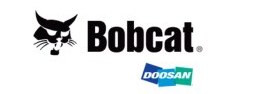 Bobcat